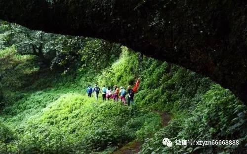 西来桥镇跑出项目攻坚更快加速度
