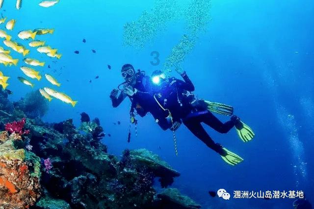 王子与公主冒险