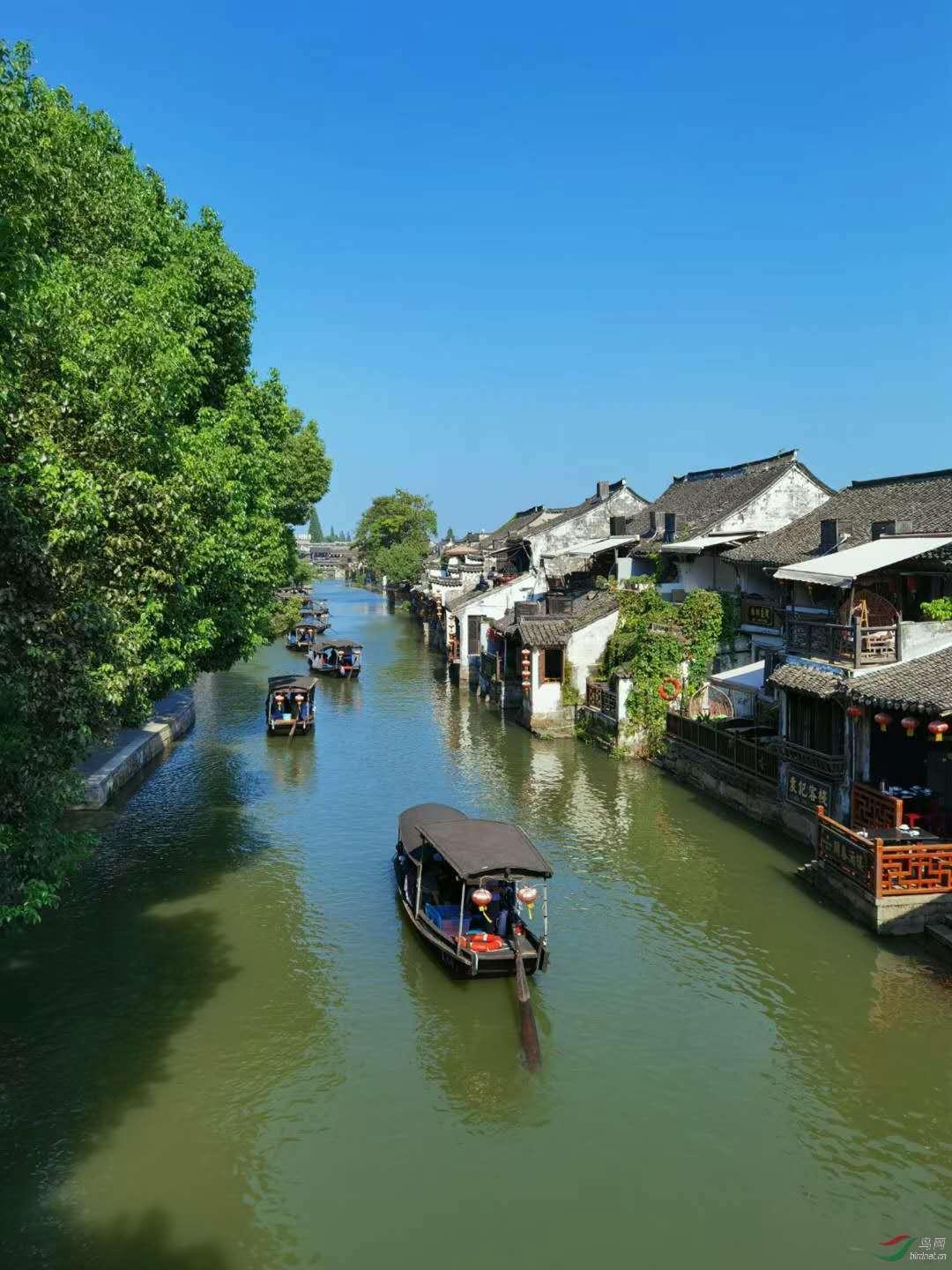 如何应对“银发浪潮”？山西省人大代表有话说