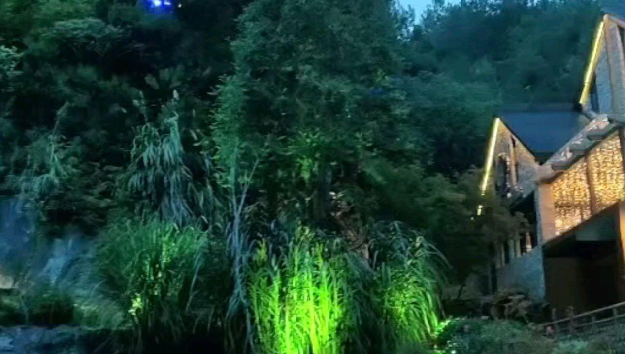 妙鸭相机app下载官网